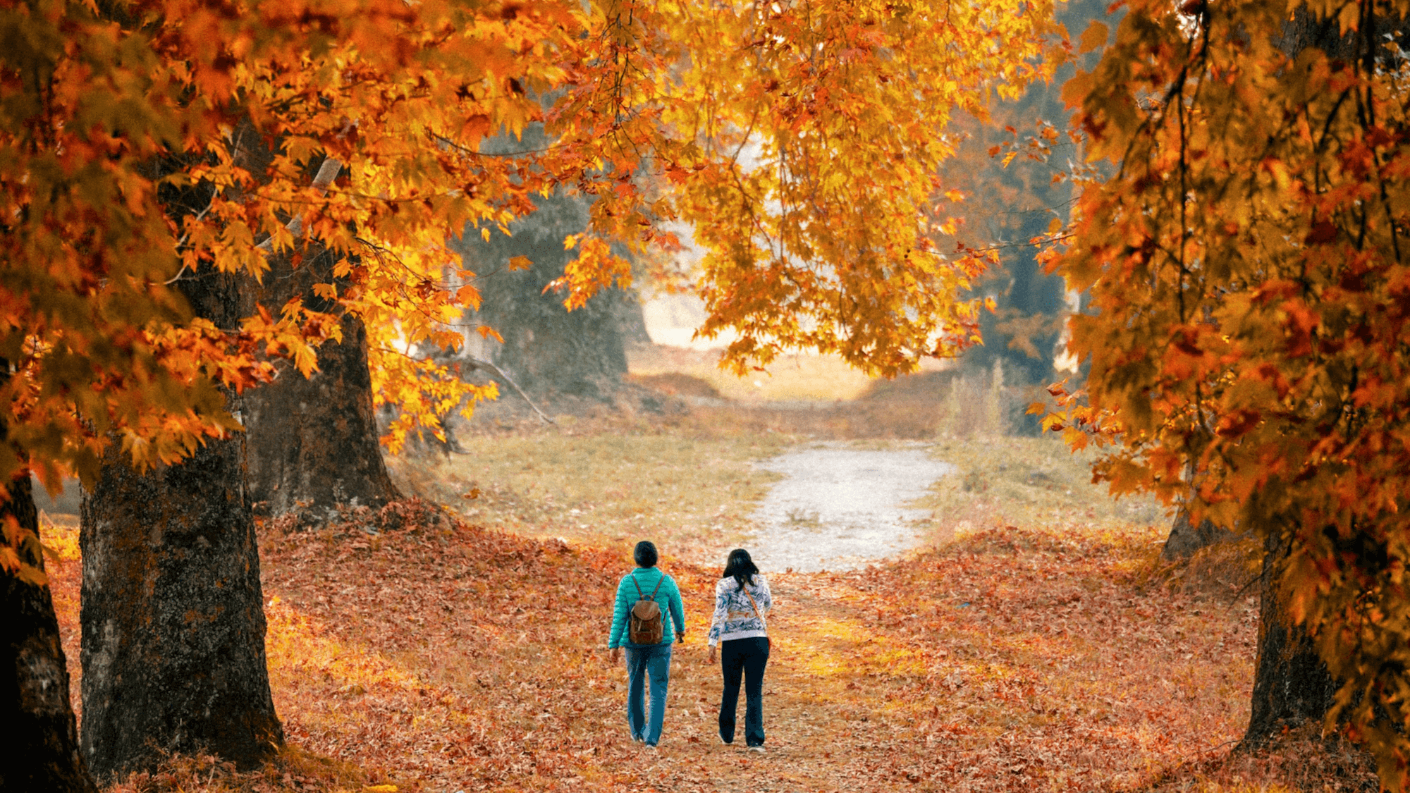 A couple walks on a path covered in fallen autumn leaves, symbolizing how a person can maintain an active life and manage joint pain through all seasons, even with changing weather.
